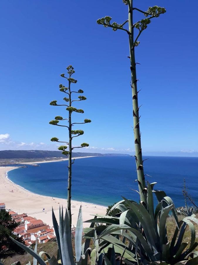 Refugio Villa Mar Nazaré Exterior photo